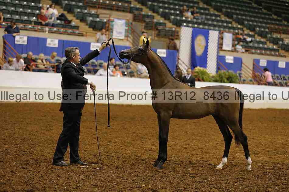 Proof Number 13r12_8436