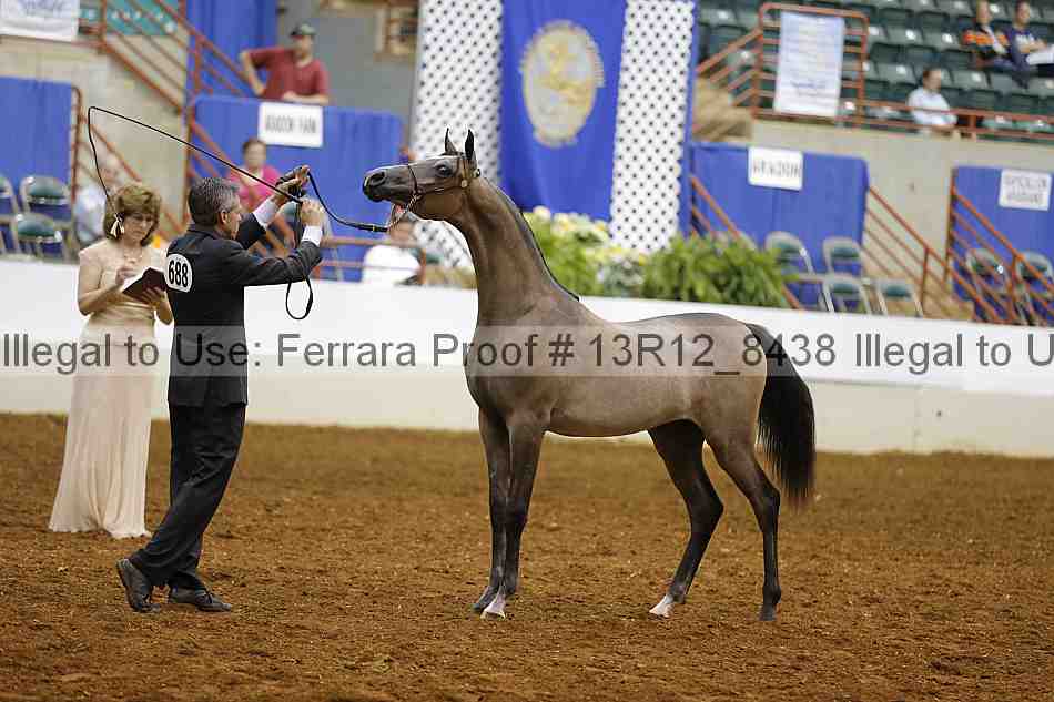 Proof Number 13r12_8438