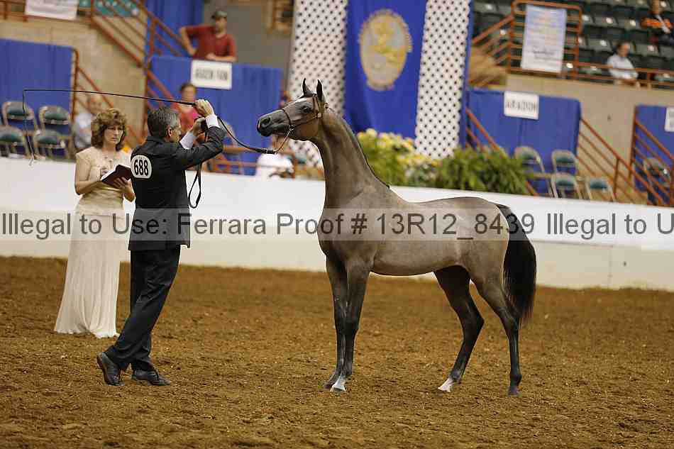 Proof Number 13r12_8439