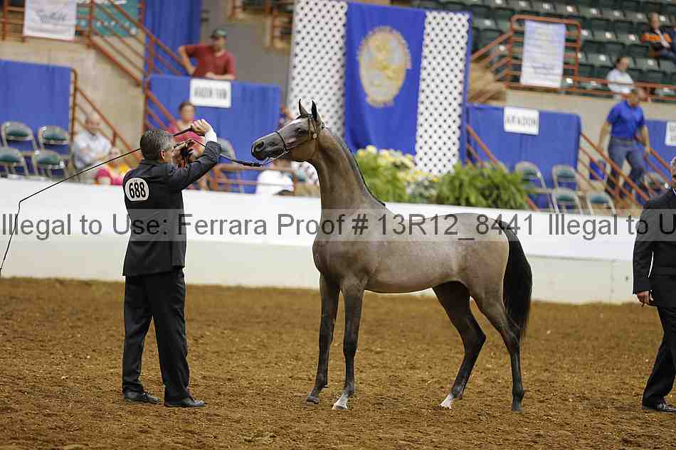 Proof Number 13r12_8441