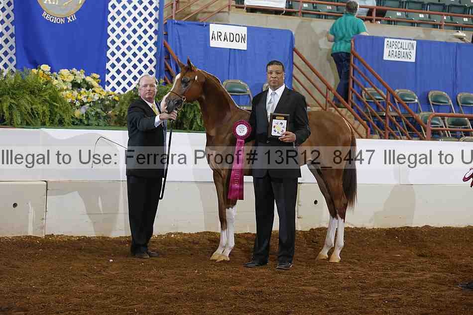 Proof Number 13r12_8447