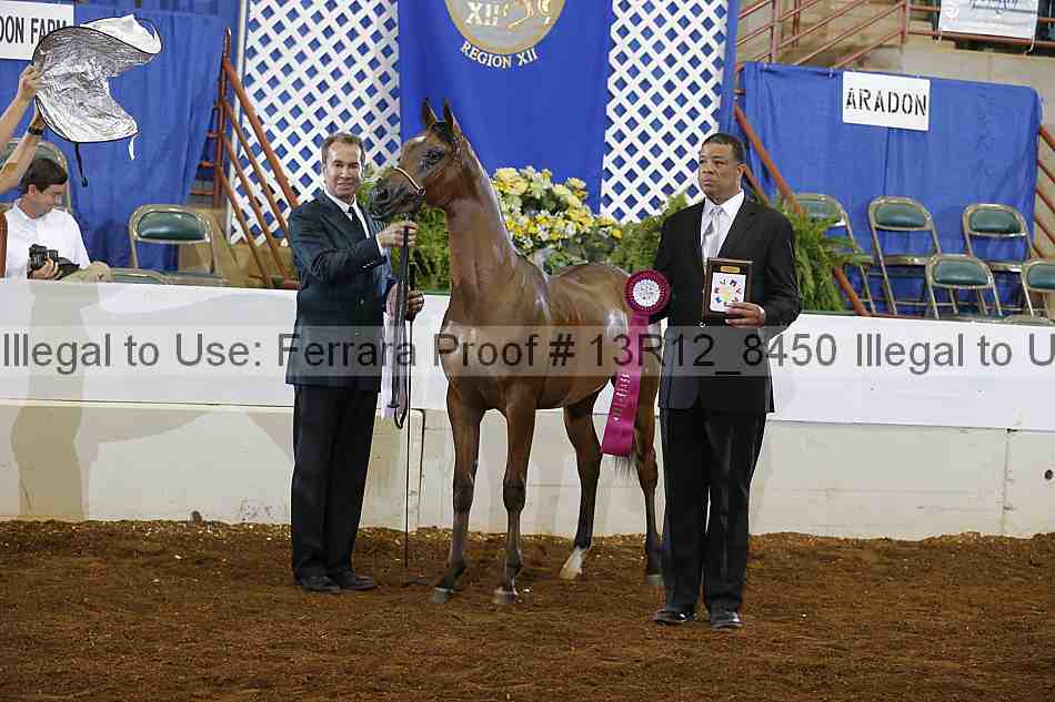 Proof Number 13r12_8450