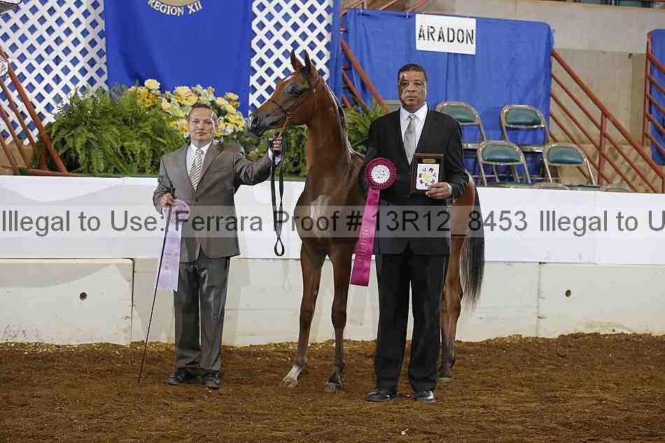Proof Number 13r12_8453