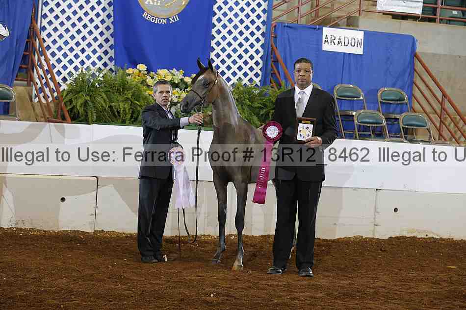 Proof Number 13r12_8462