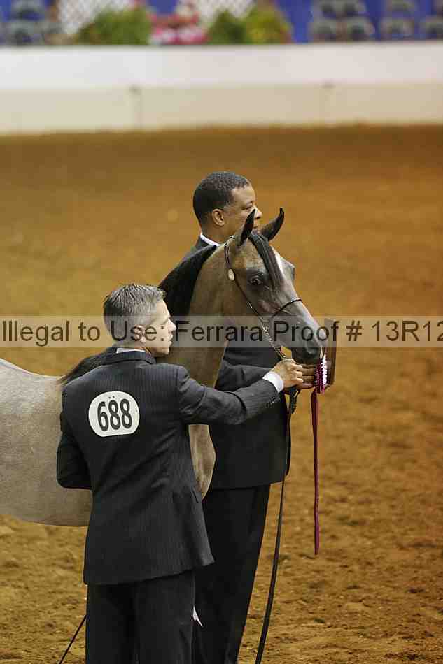 Proof Number 13r12_8463