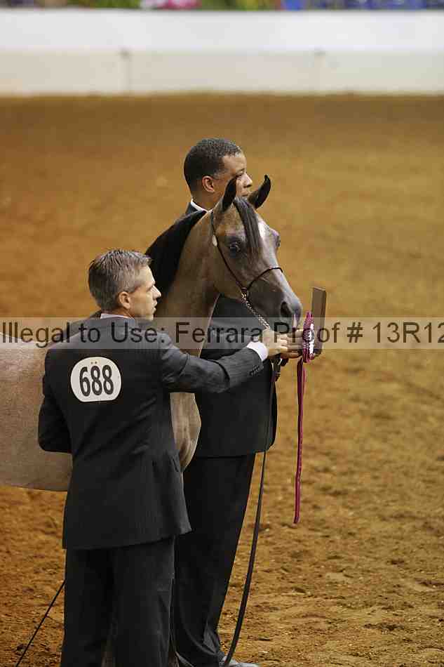 Proof Number 13r12_8464