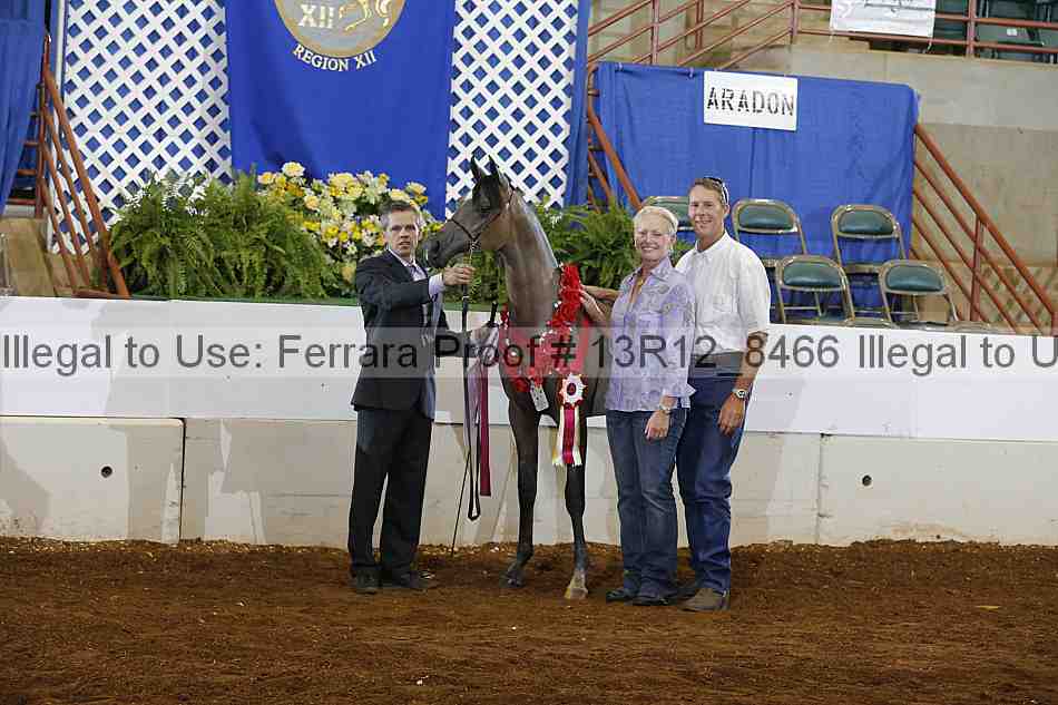 Proof Number 13r12_8466
