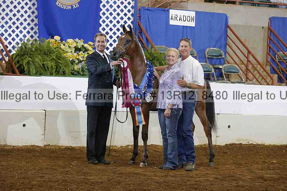 Proof Number 13r12_8480