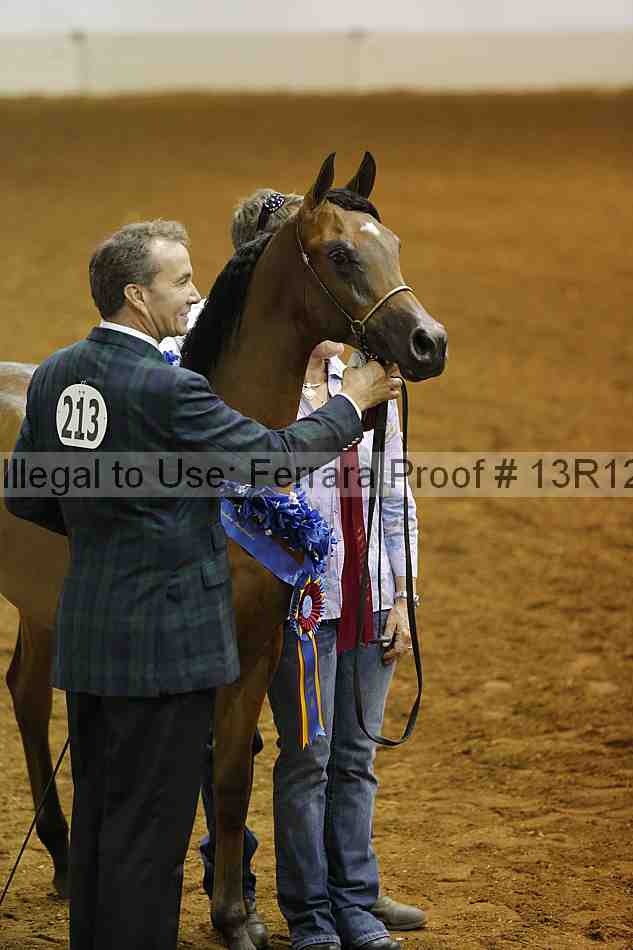 Proof Number 13r12_8483