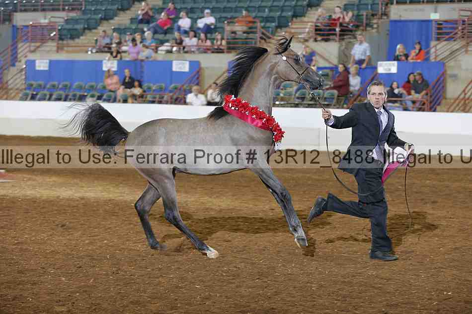 Proof Number 13r12_8488