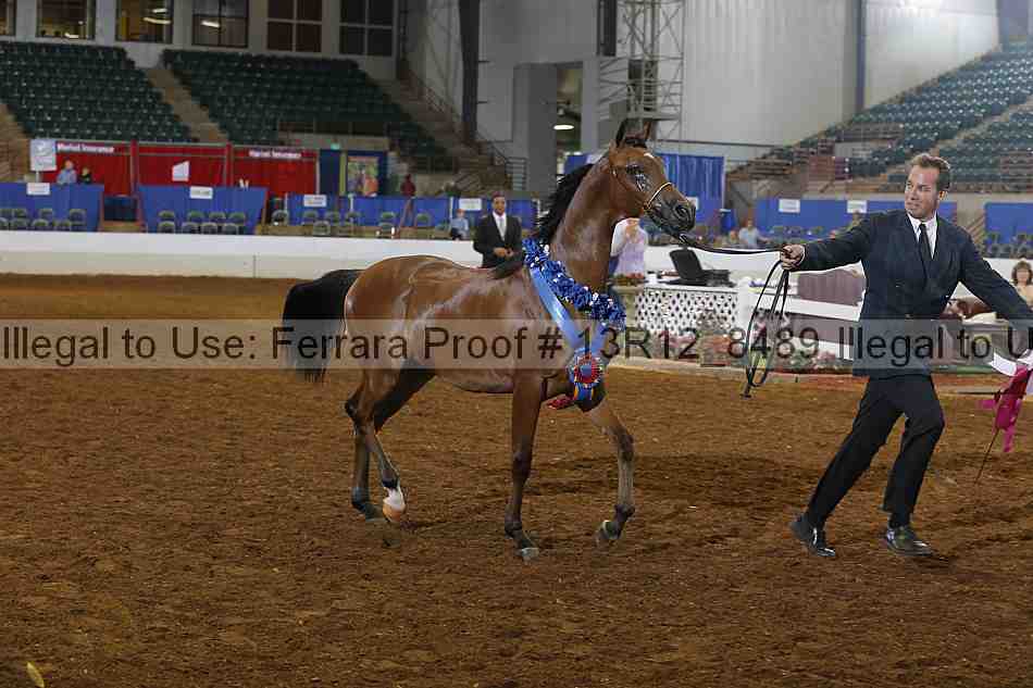 Proof Number 13r12_8489