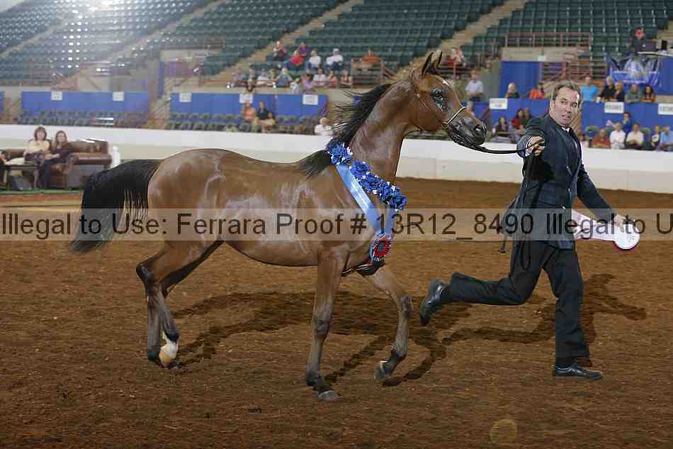 Proof Number 13r12_8490