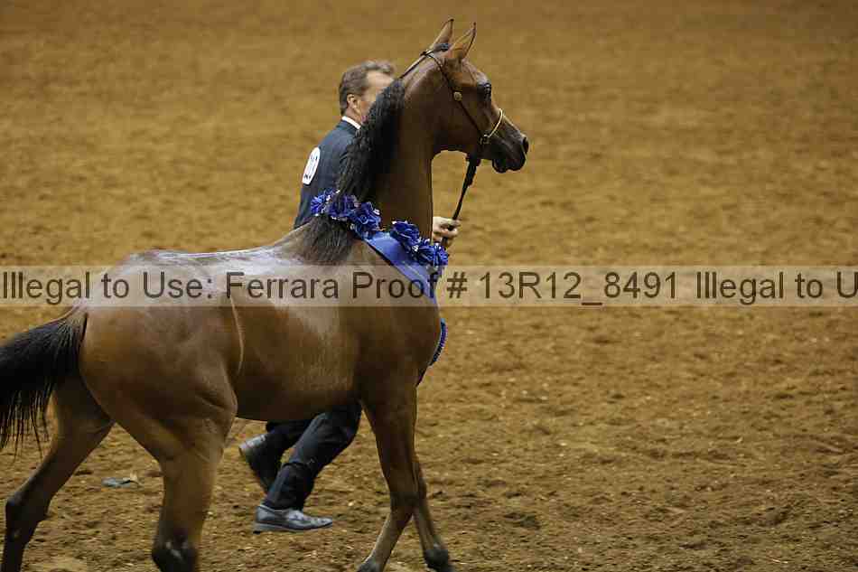 Proof Number 13r12_8491