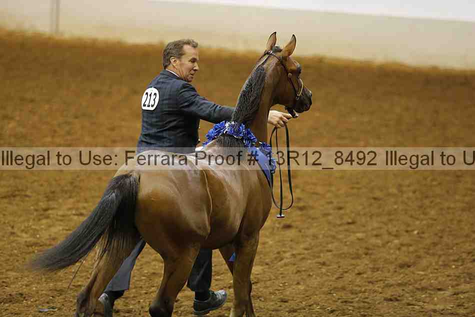 Proof Number 13r12_8492