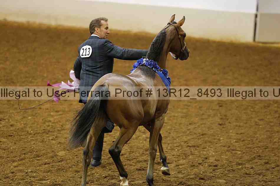 Proof Number 13r12_8493