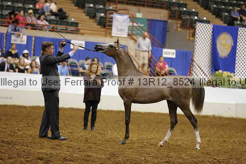 Proof Number 13r12_8524