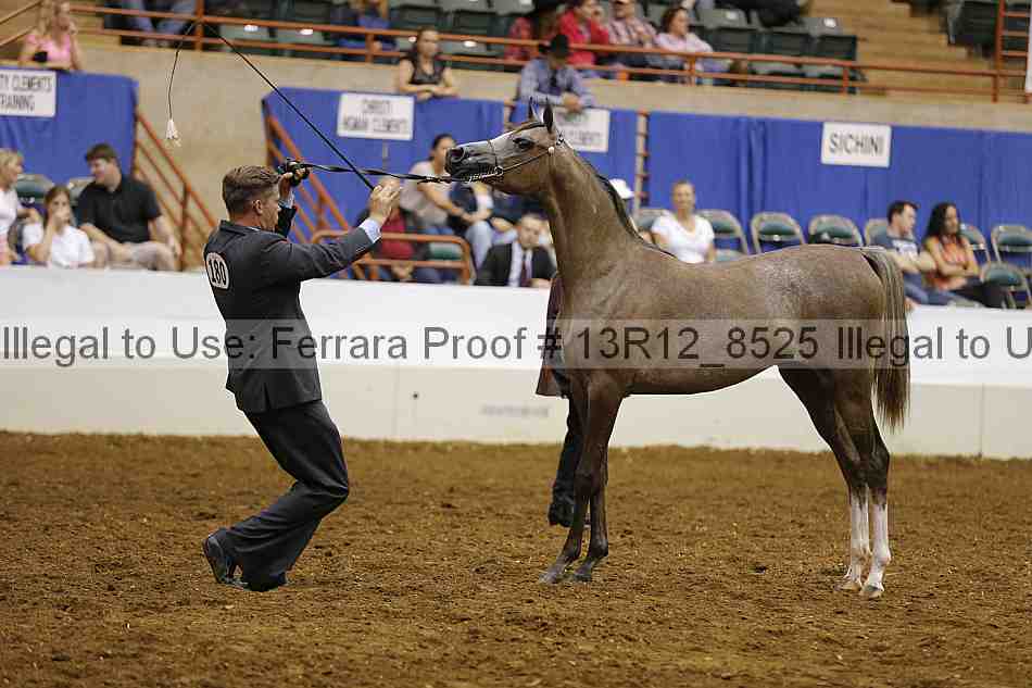 Proof Number 13r12_8525