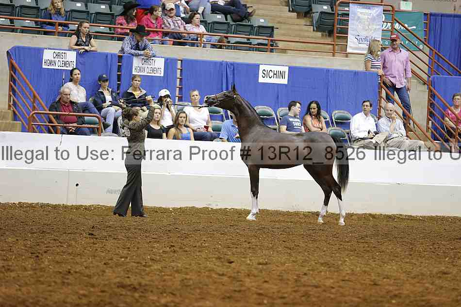 Proof Number 13r12_8526