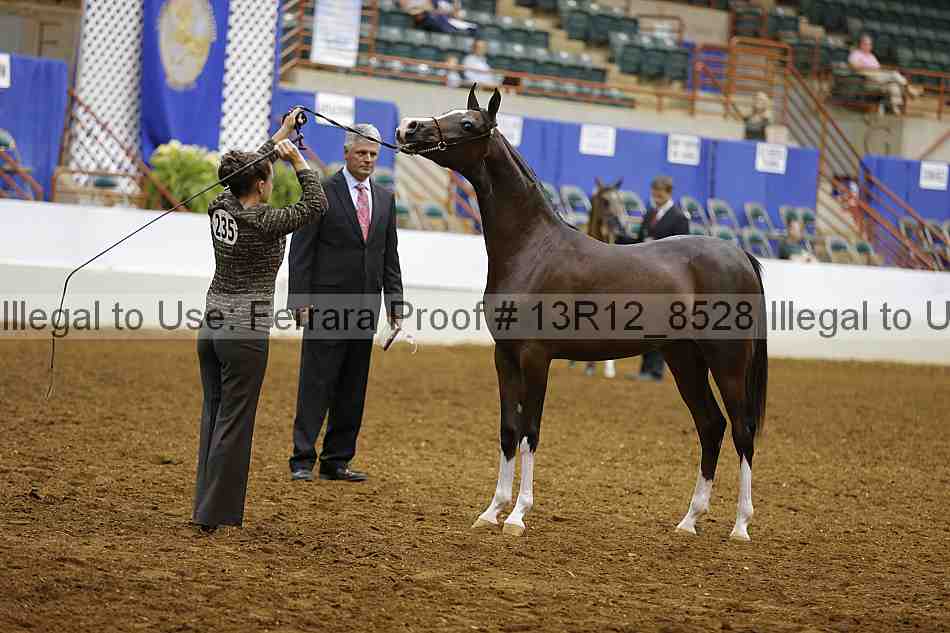 Proof Number 13r12_8528