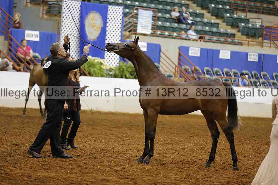 Proof Number 13r12_8532