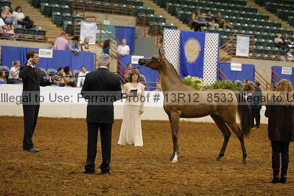 Proof Number 13r12_8533