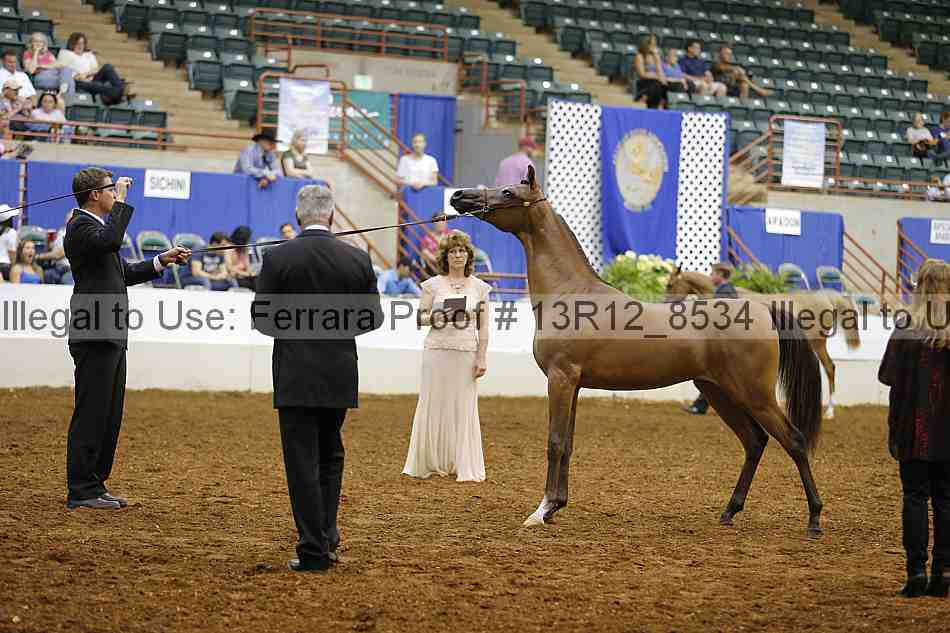 Proof Number 13r12_8534