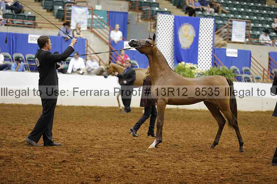 Proof Number 13r12_8535