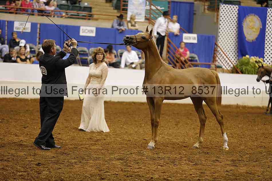 Proof Number 13r12_8537