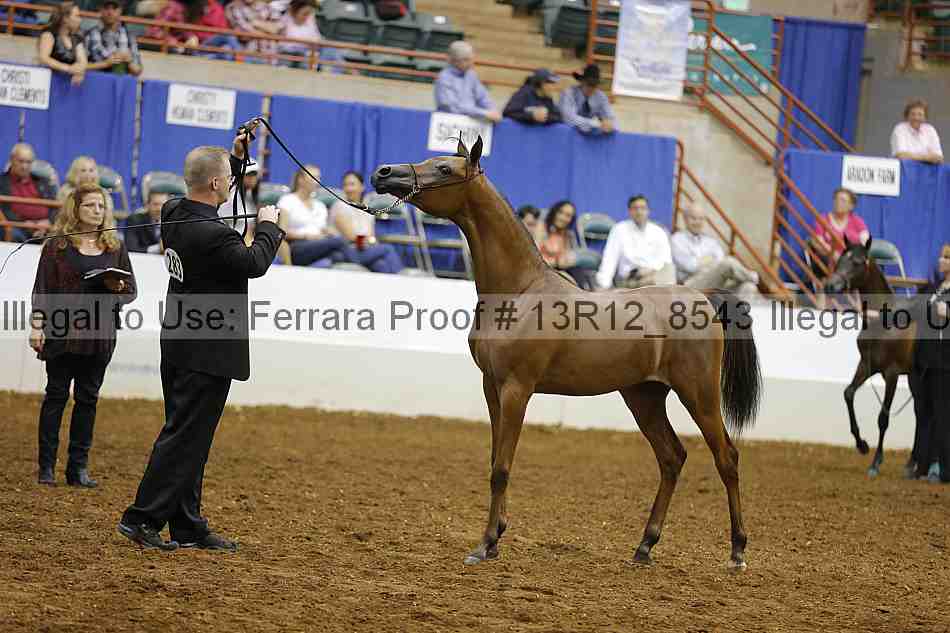 Proof Number 13r12_8543