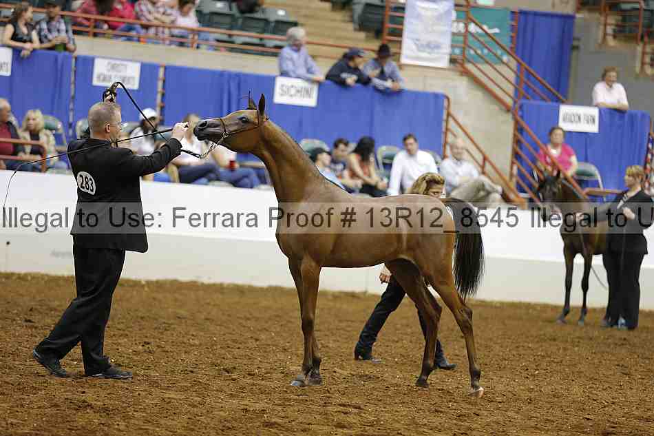 Proof Number 13r12_8545