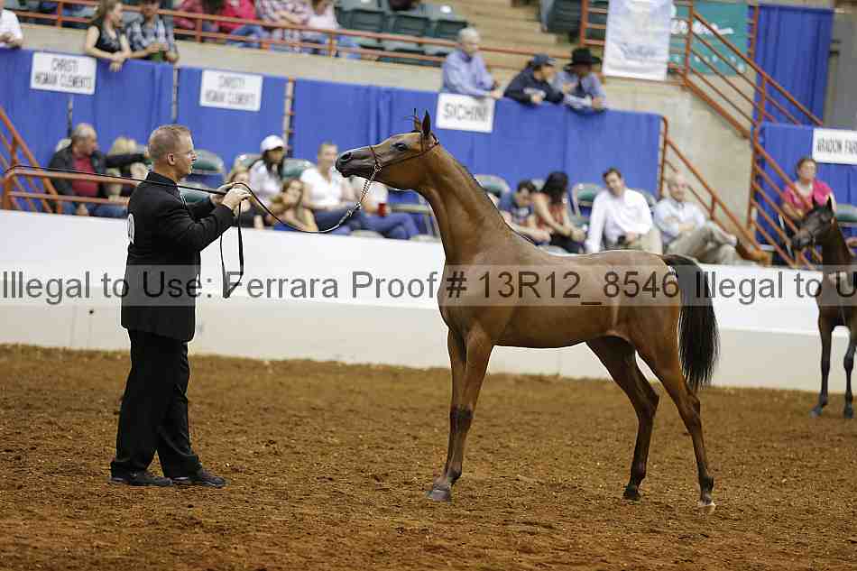 Proof Number 13r12_8546