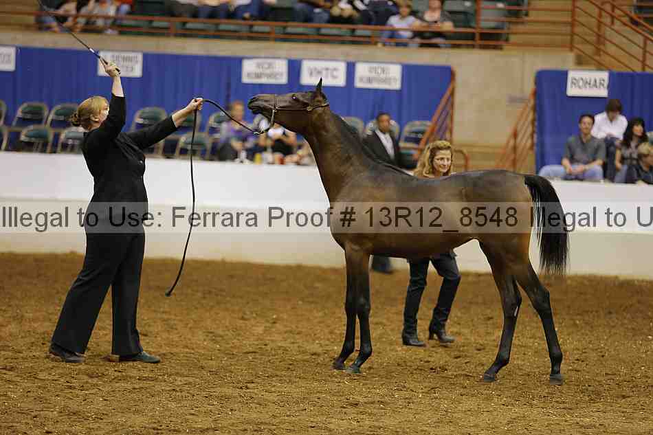 Proof Number 13r12_8548