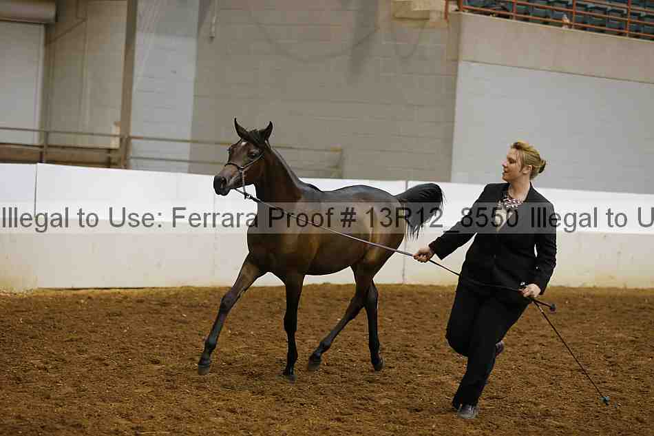 Proof Number 13r12_8550