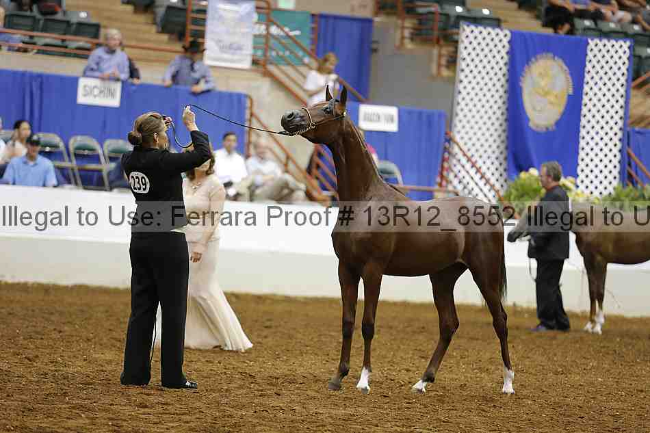 Proof Number 13r12_8552