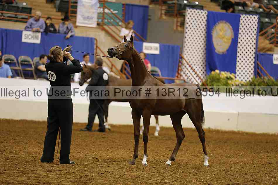 Proof Number 13r12_8554