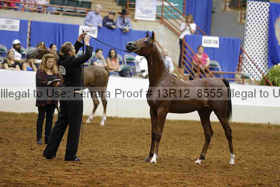 Proof Number 13r12_8555