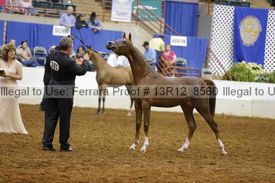 Proof Number 13r12_8560