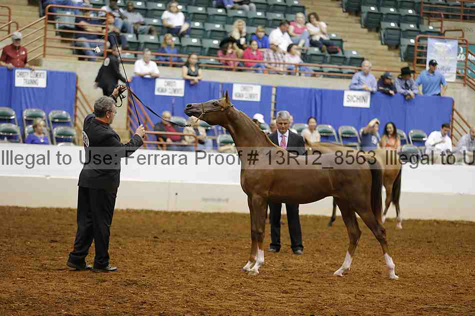 Proof Number 13r12_8563
