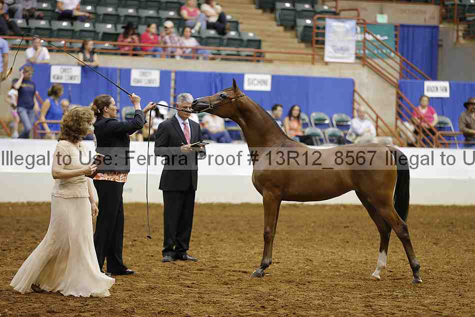 Proof Number 13r12_8567