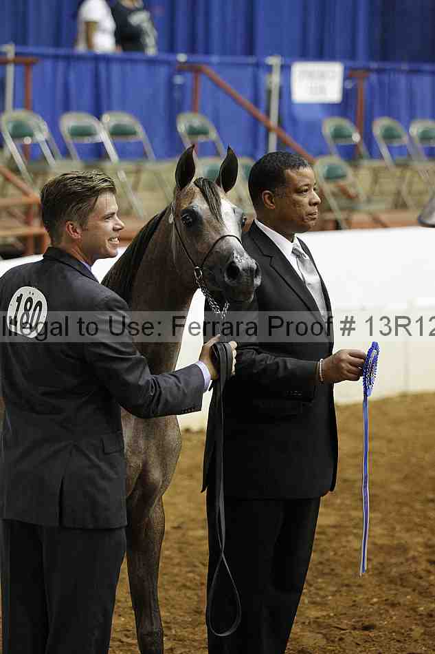 Proof Number 13r12_8574