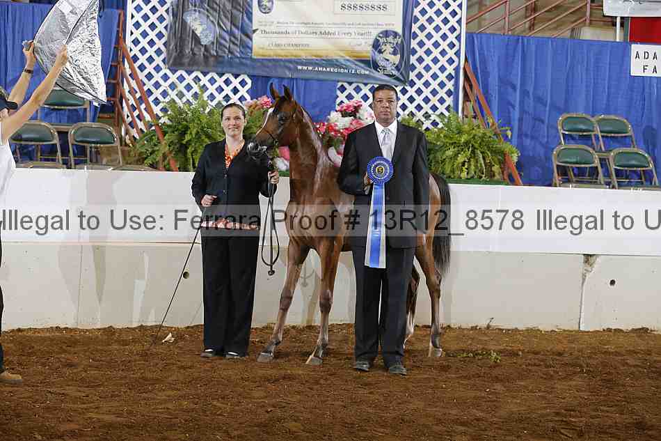 Proof Number 13r12_8578
