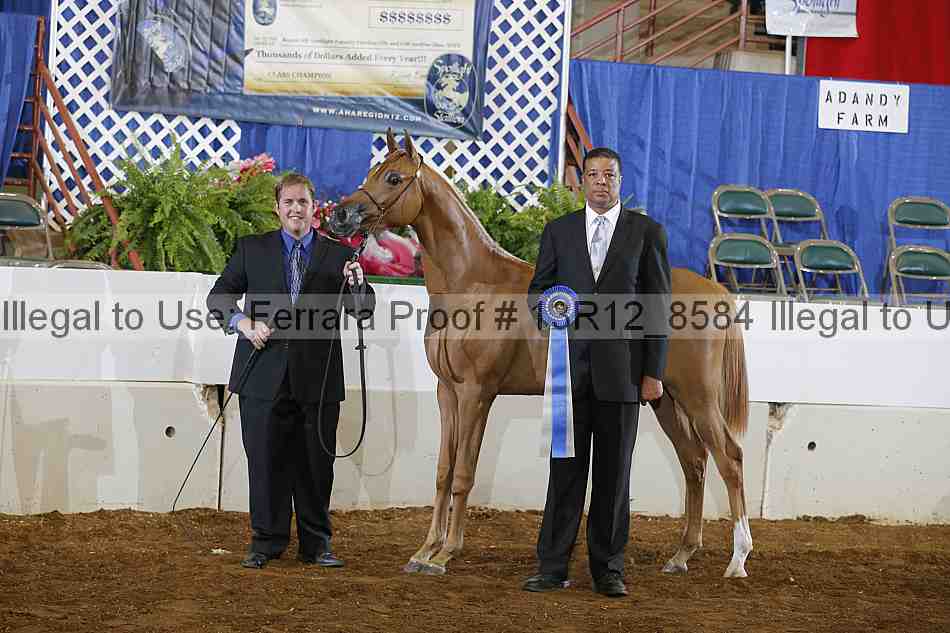 Proof Number 13r12_8584