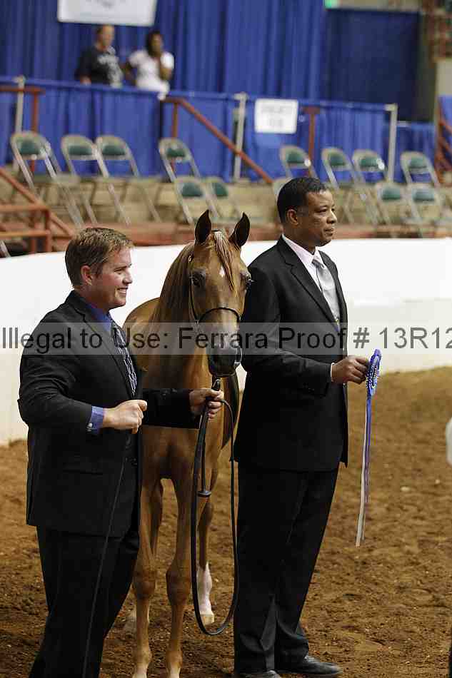 Proof Number 13r12_8585