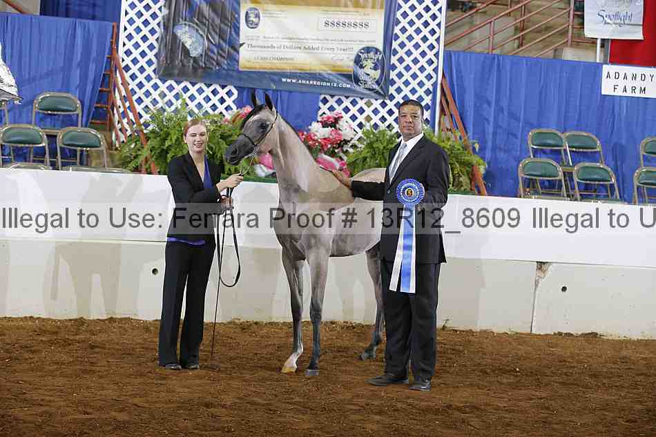 Proof Number 13r12_8609