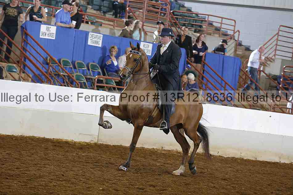Proof Number 13r12_8636