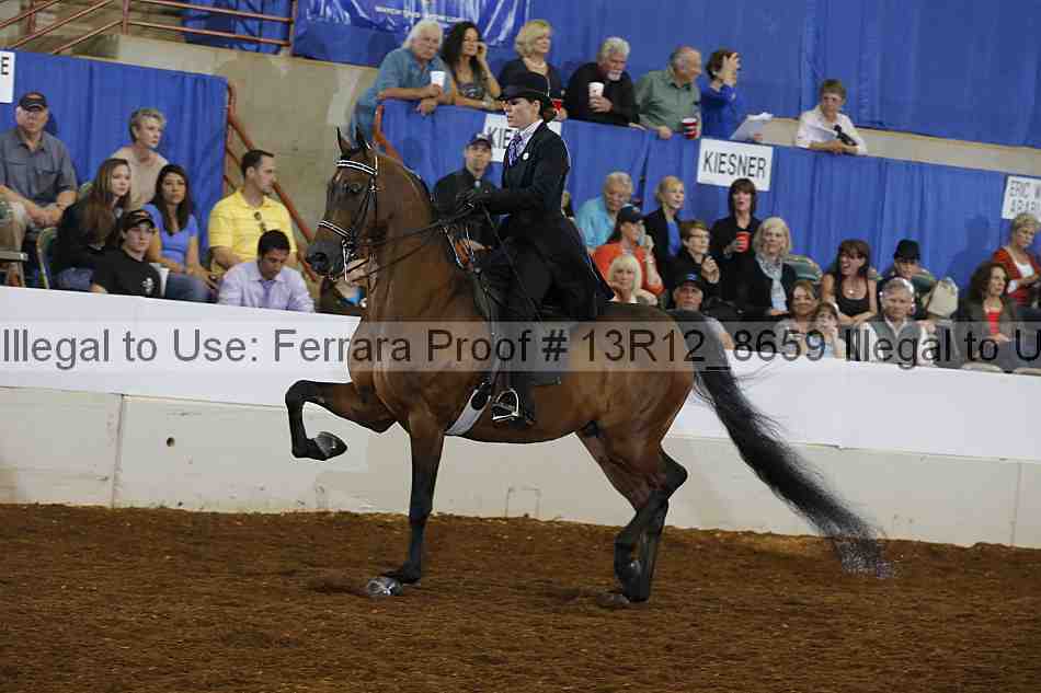 Proof Number 13r12_8659