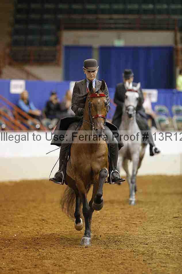 Proof Number 13r12_8660