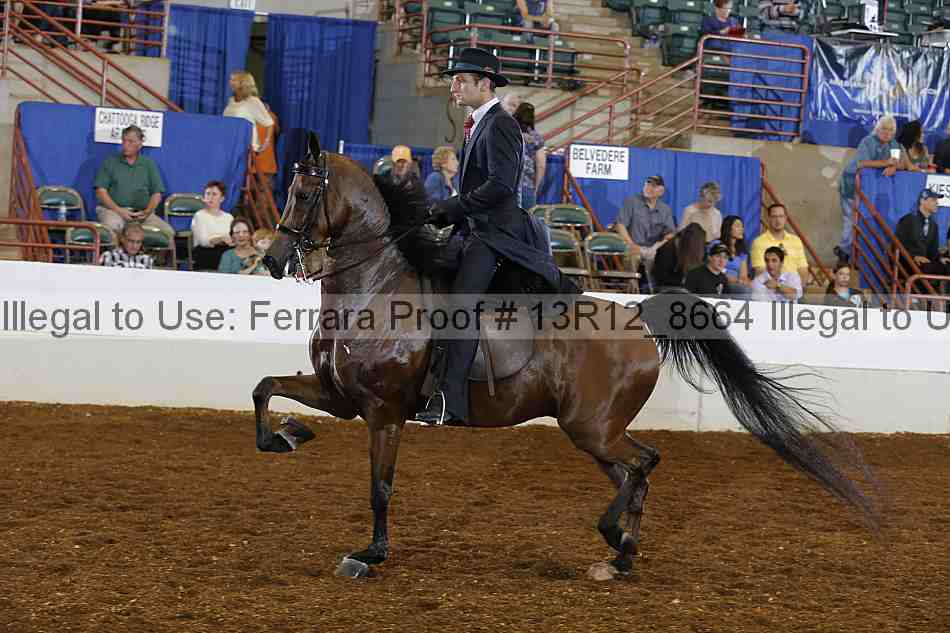 Proof Number 13r12_8664