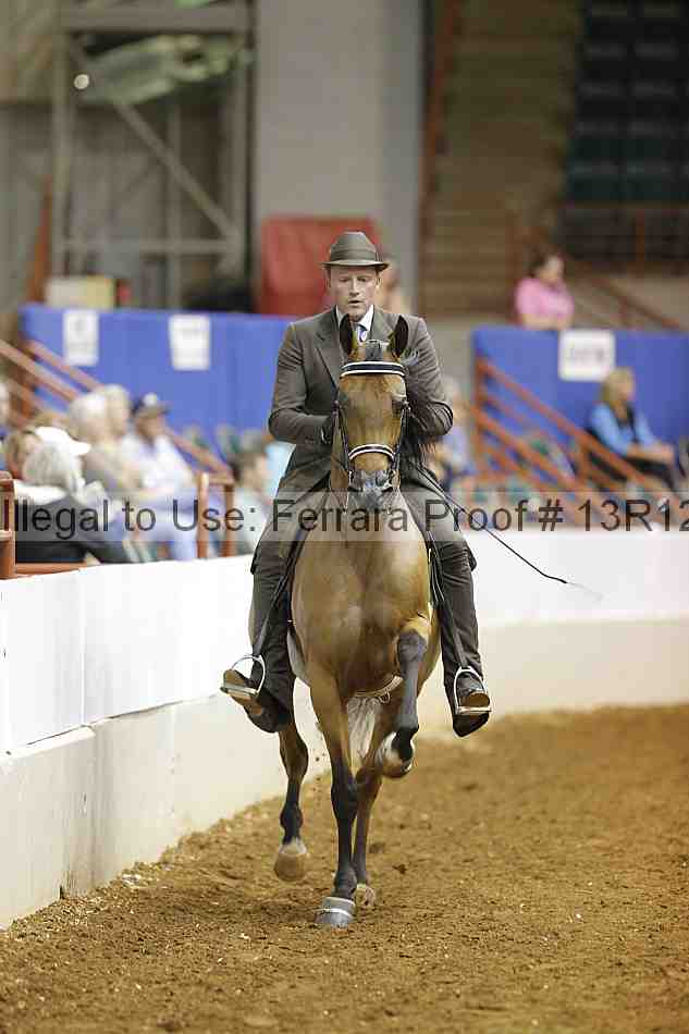 Proof Number 13r12_8665