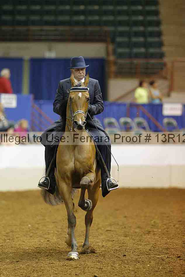 Proof Number 13r12_8670